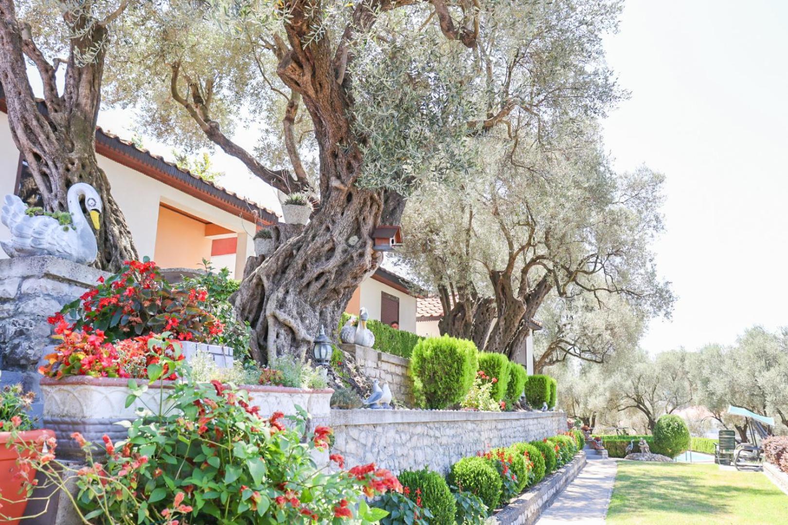 Hilja'S Oliven Garden Bungalows Ulcinj Exteriér fotografie
