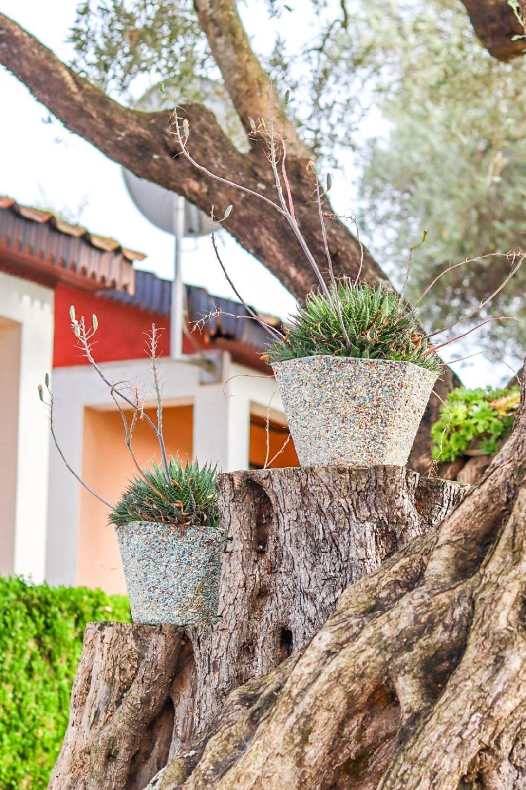Hilja'S Oliven Garden Bungalows Ulcinj Exteriér fotografie