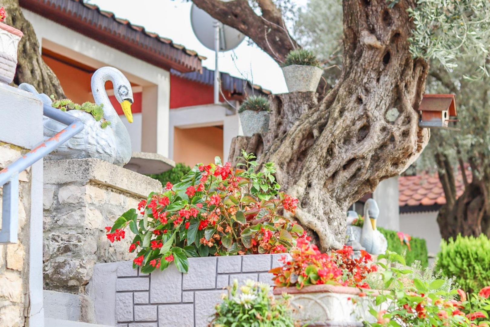 Hilja'S Oliven Garden Bungalows Ulcinj Exteriér fotografie