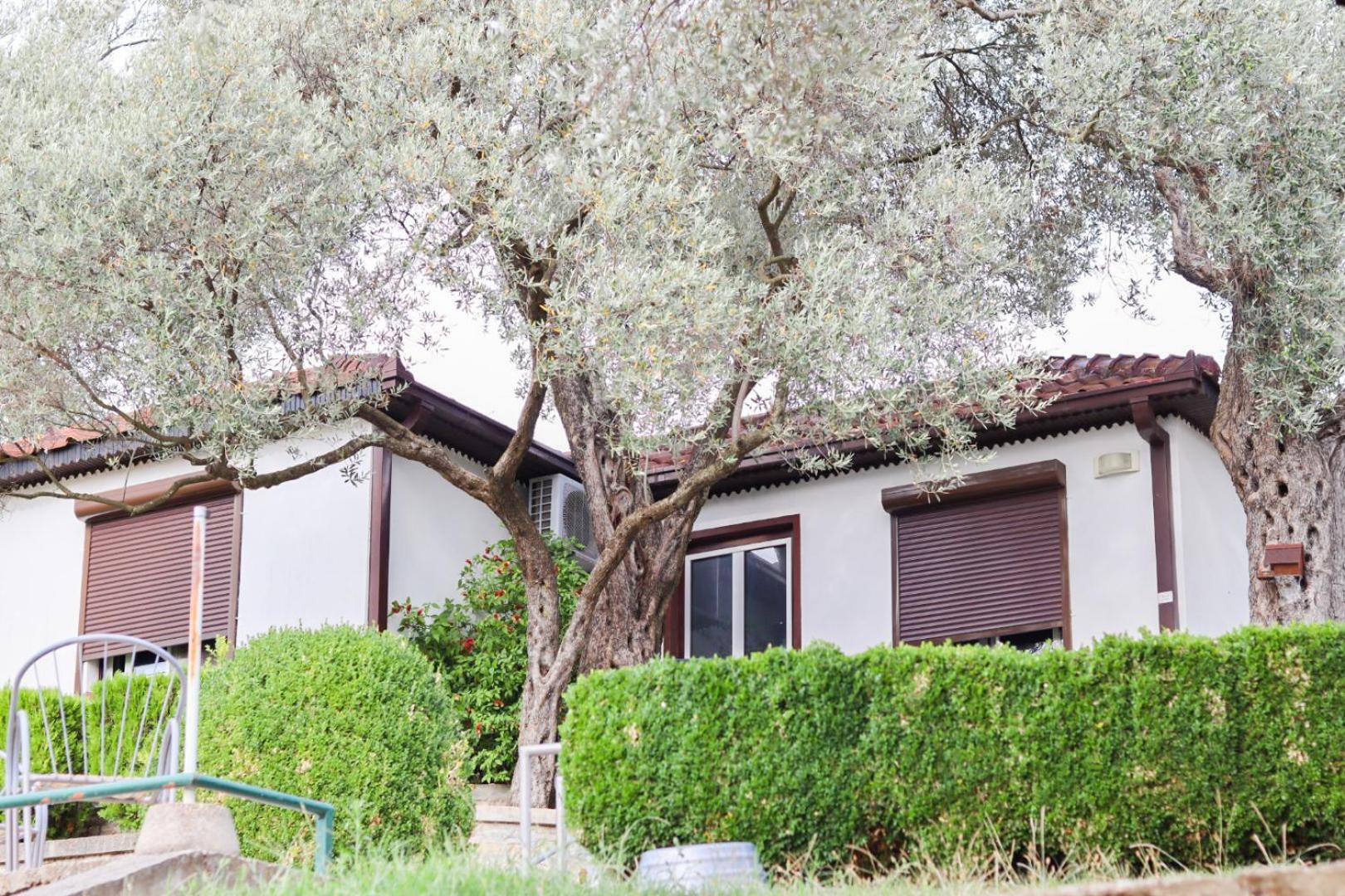 Hilja'S Oliven Garden Bungalows Ulcinj Exteriér fotografie