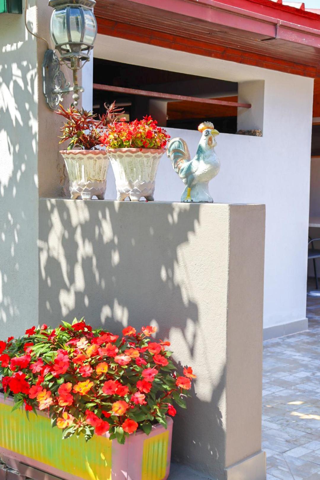 Hilja'S Oliven Garden Bungalows Ulcinj Exteriér fotografie