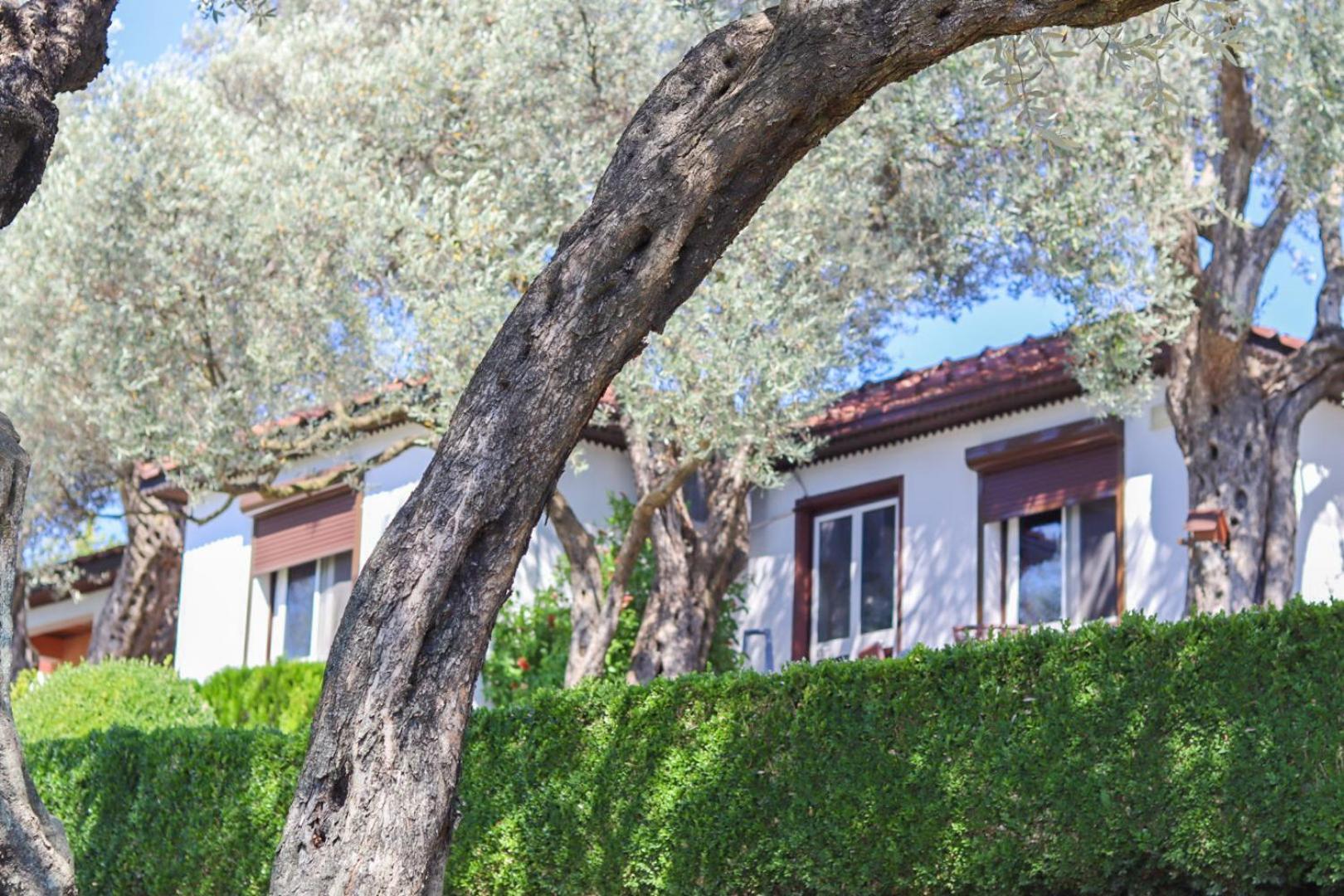 Hilja'S Oliven Garden Bungalows Ulcinj Exteriér fotografie