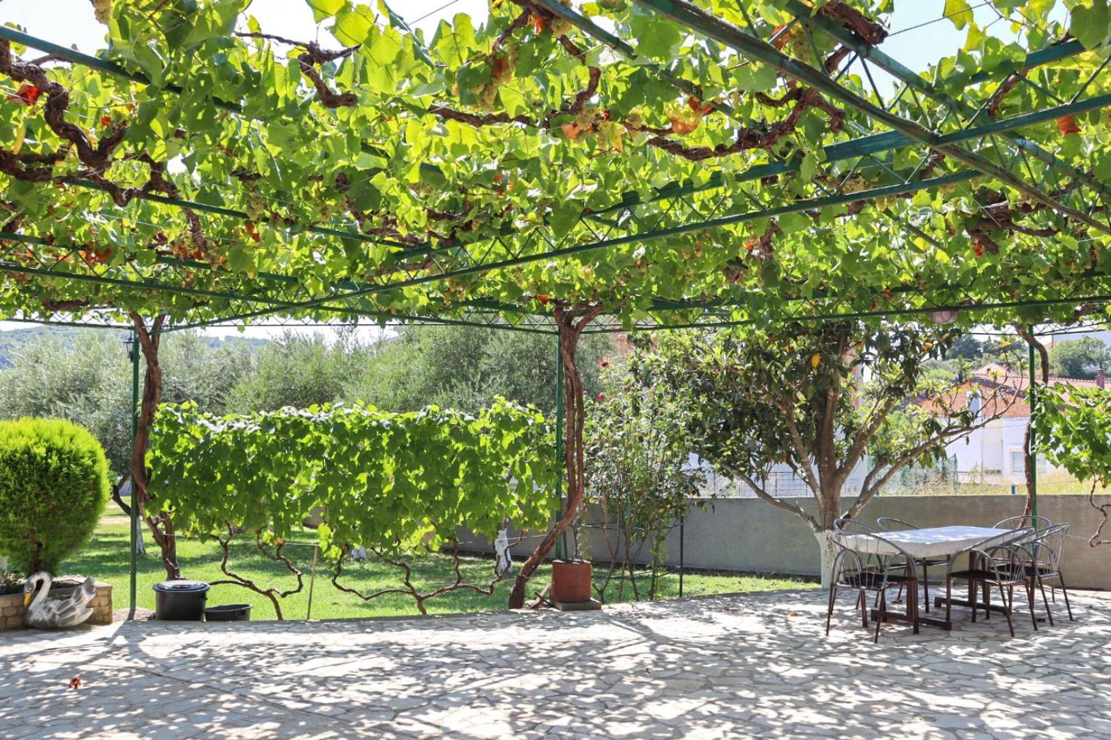 Hilja'S Oliven Garden Bungalows Ulcinj Exteriér fotografie