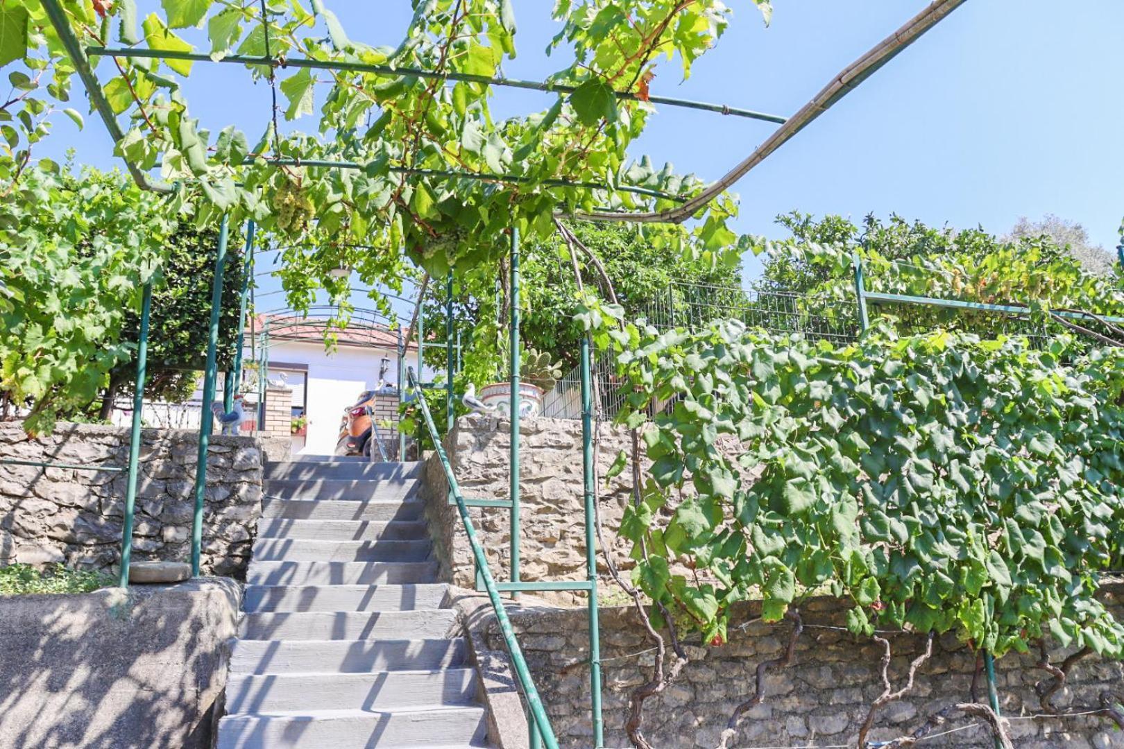 Hilja'S Oliven Garden Bungalows Ulcinj Exteriér fotografie