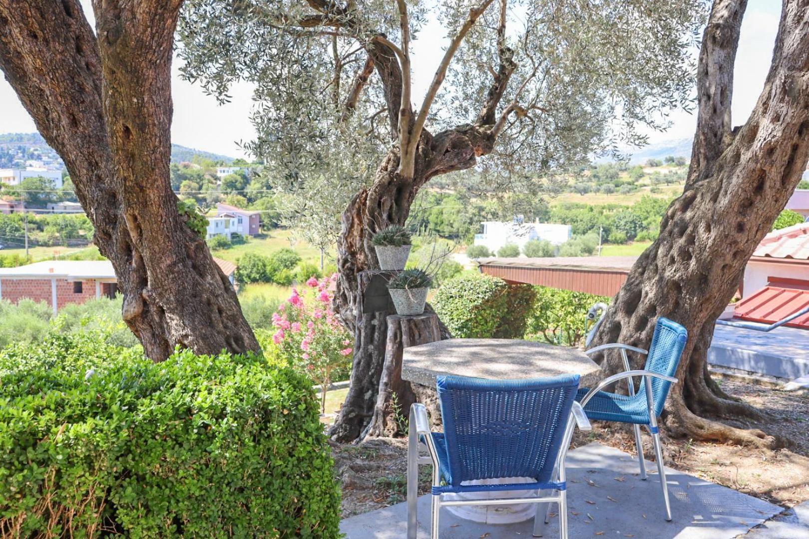 Hilja'S Oliven Garden Bungalows Ulcinj Exteriér fotografie
