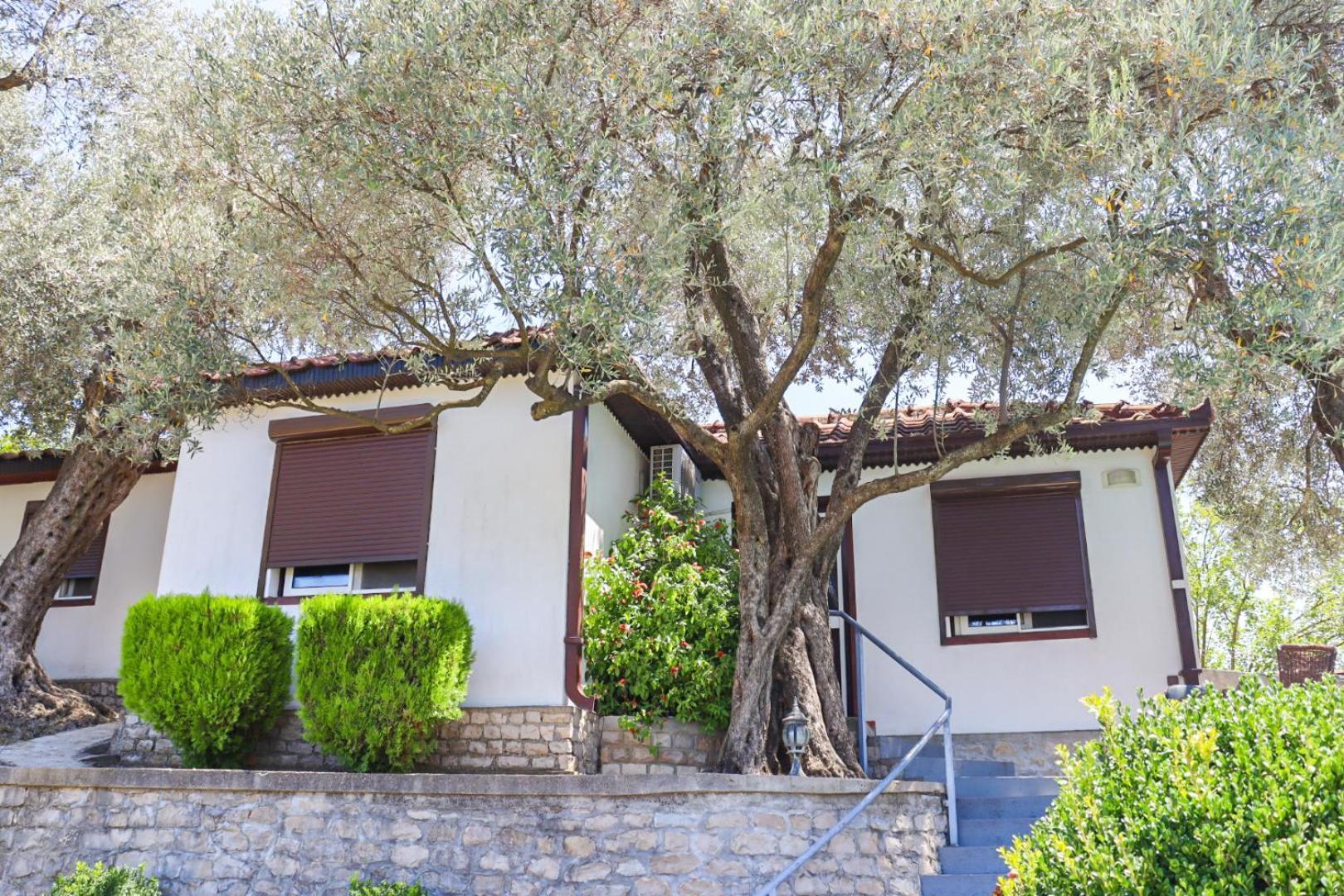 Hilja'S Oliven Garden Bungalows Ulcinj Exteriér fotografie